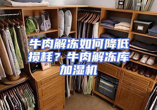 牛肉解冻如何降低损耗？牛肉解冻库加湿机