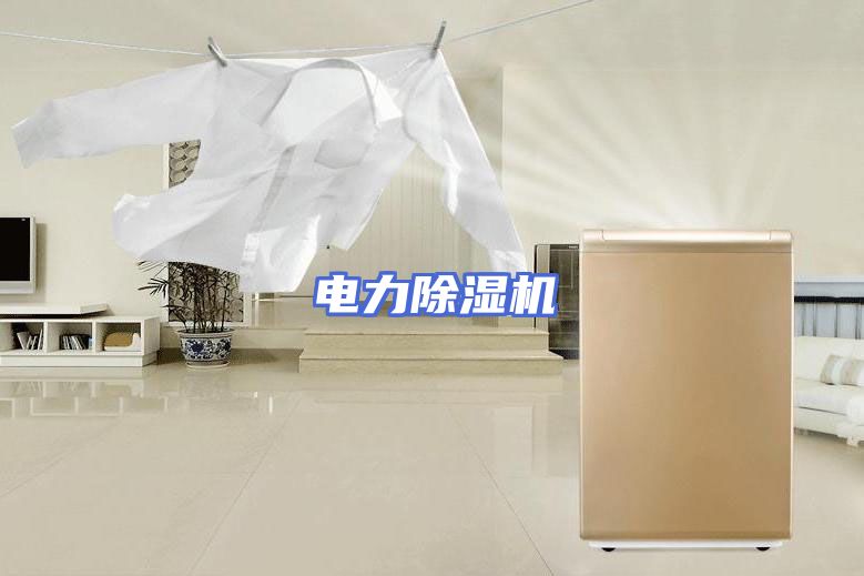 电力除湿机
