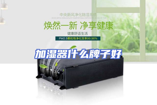 加湿器什么牌子好