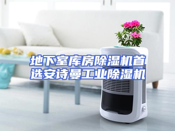 地下室库房除湿机首选安诗曼工业除湿机