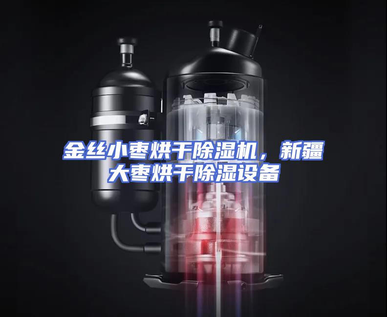 金丝小枣烘干除湿机，新疆大枣烘干除湿设备