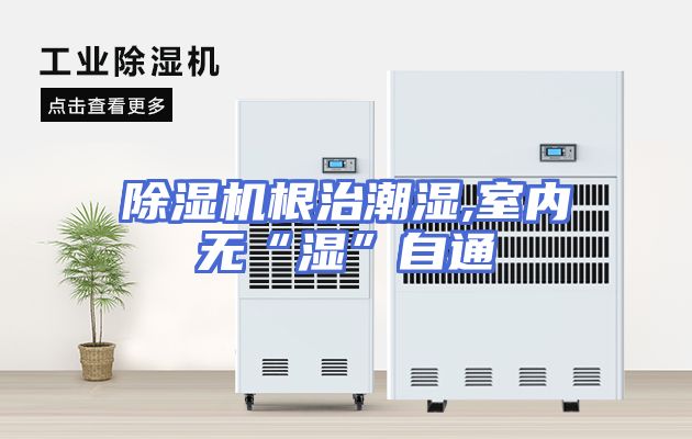 除湿机根治潮湿,室内无“湿”自通