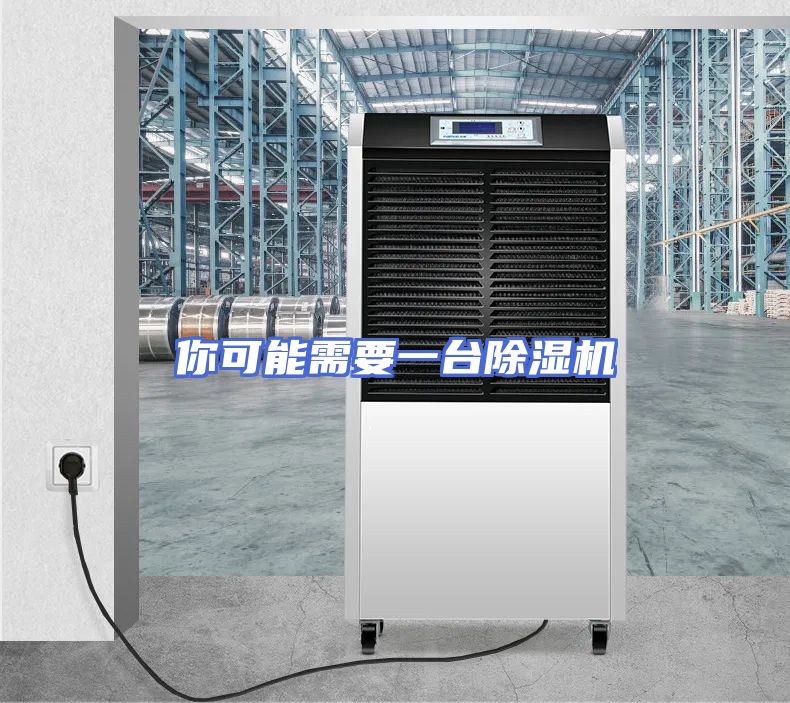 你可能需要一台除湿机