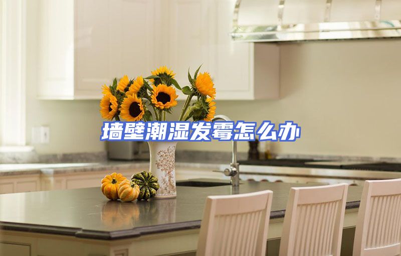墙壁潮湿发霉怎么办