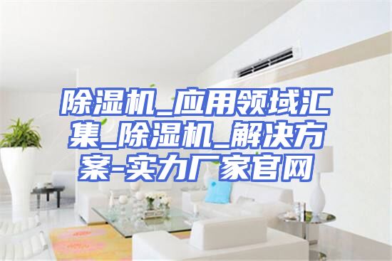 除湿机_应用领域汇集_除湿机_解决方案-实力厂家官网