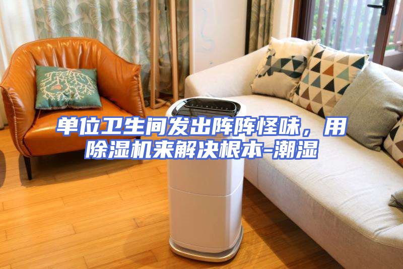 单位卫生间发出阵阵怪味，用除湿机来解决根本-潮湿