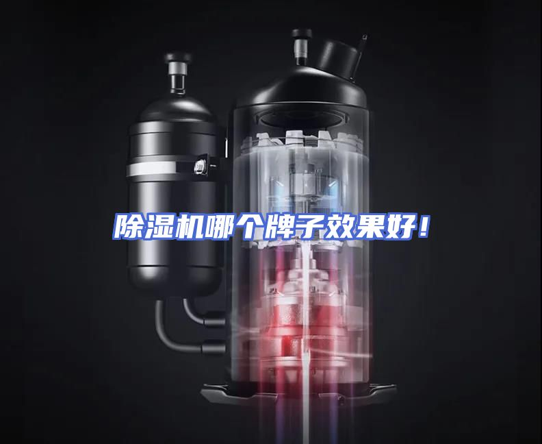 除湿机哪个牌子效果好！