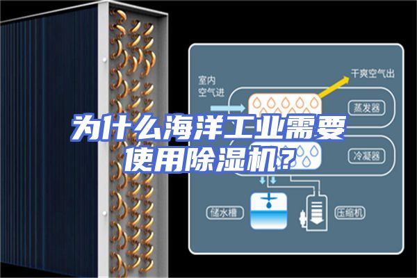 为什么海洋工业需要使用除湿机？