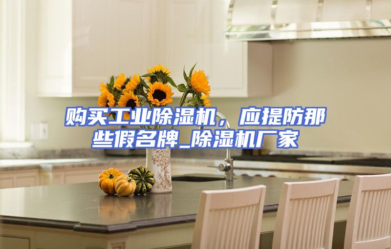 购买工业除湿机，应提防那些假名牌_除湿机厂家