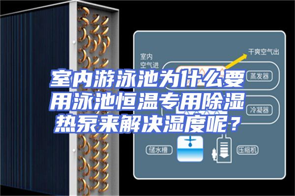 室内游泳池为什么要用泳池恒温专用除湿热泵来解决湿度呢?