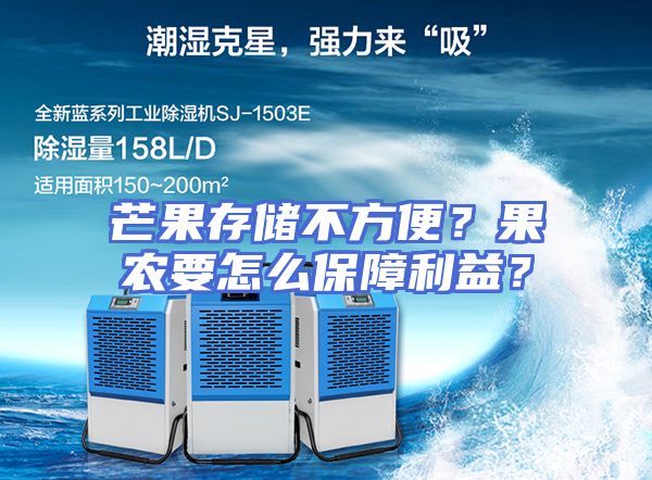 芒果存储不方便？果农要怎么保障利益？