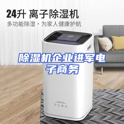 除湿机企业进军电子商务