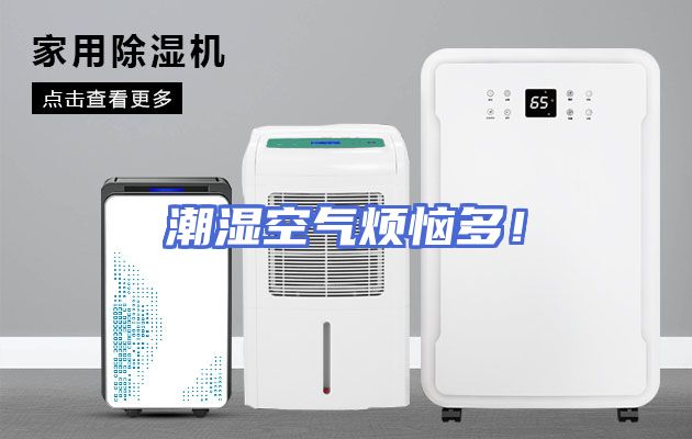潮湿空气烦恼多！