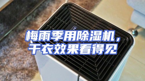 梅雨季用除湿机，干衣效果看得见