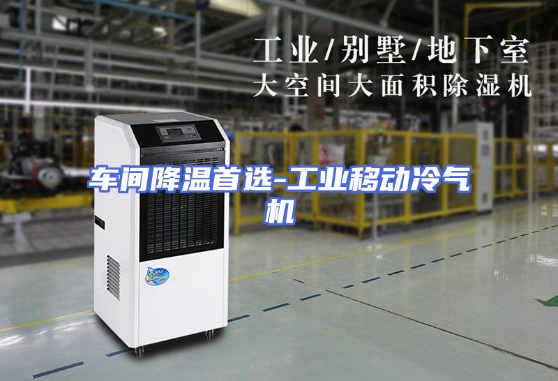 车间降温首选-工业移动冷气机