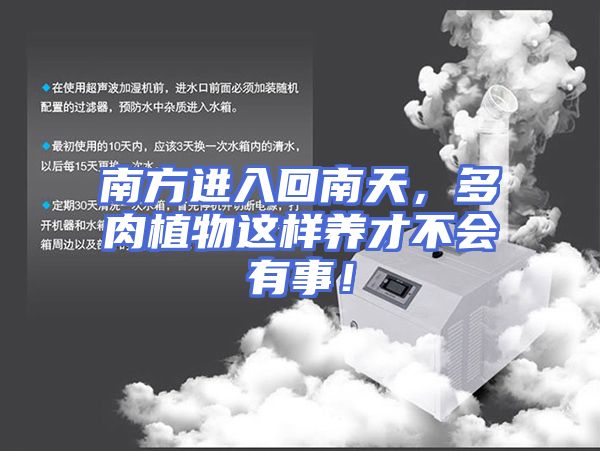南方进入回南天，多肉植物这样养才不会有事！