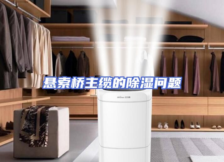 悬索桥主缆的除湿问题
