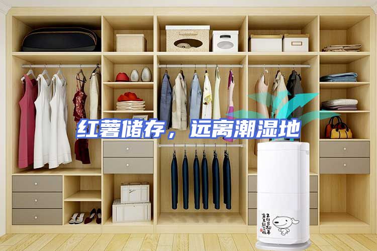 红薯储存，远离潮湿地