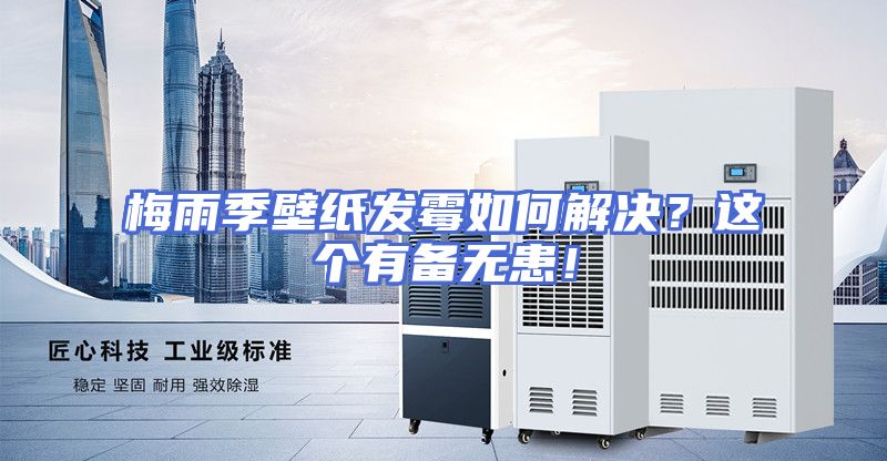 梅雨季壁纸发霉如何解决？这个有备无患！