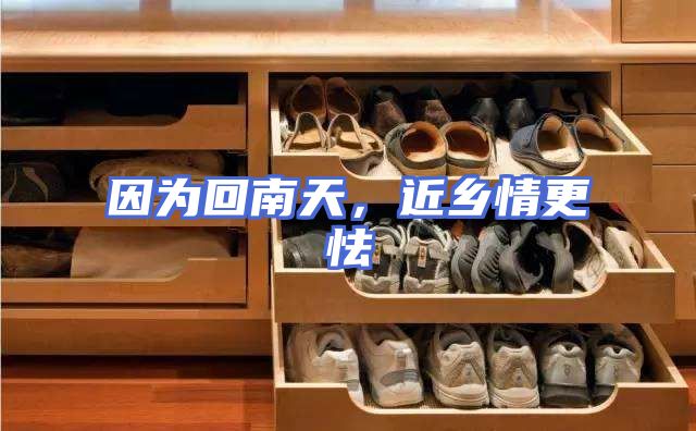 因为回南天,近乡情更怯