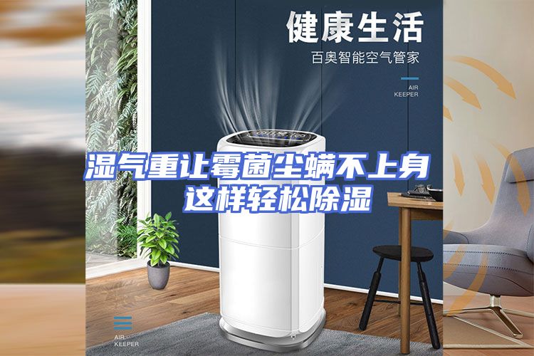 湿气重让霉菌尘螨不上身  这样轻松除湿