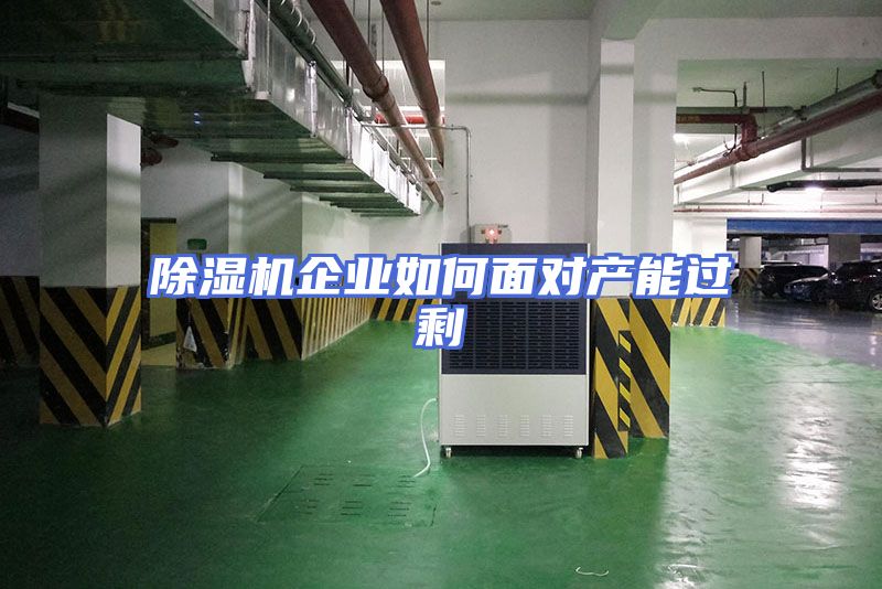 除湿机企业如何面对产能过剩