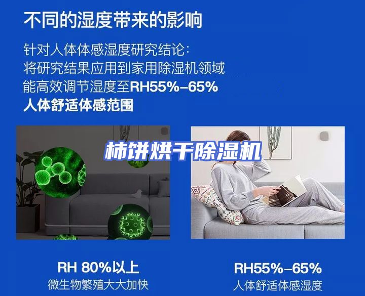 柿饼烘干除湿机