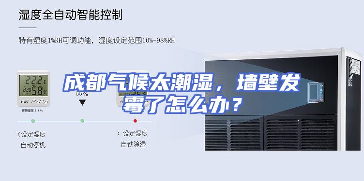 成都气候太潮湿，墙壁发霉了怎么办？