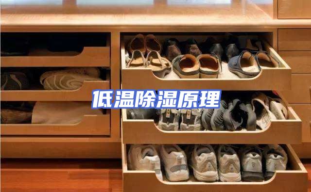 低温除湿原理