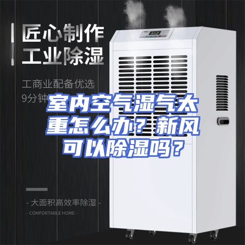 室内空气湿气太重怎么办？新风可以除湿吗？