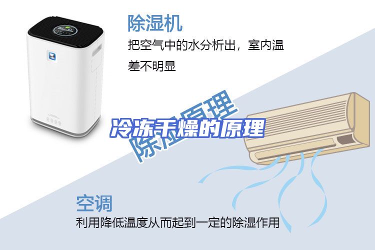 冷冻干燥的原理