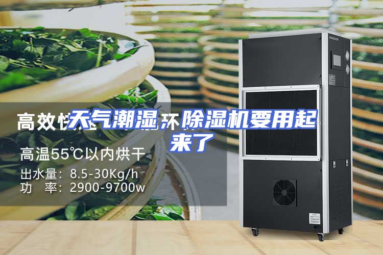 天气潮湿，除湿机要用起来了