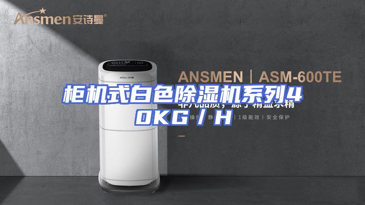 柜机式白色除湿机系列40KG／H