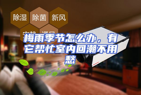 梅雨季节怎么办，有它帮忙室内回潮不用愁