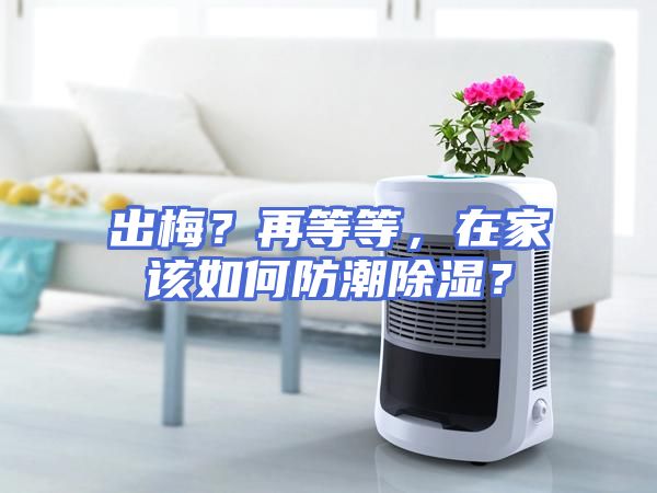出梅？再等等，在家该如何防潮除湿？