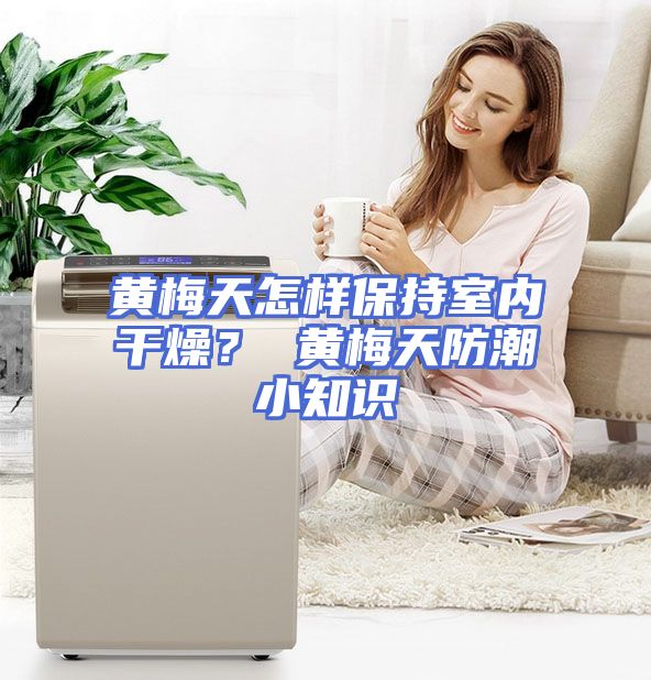 黄梅天怎样保持室内干燥? 黄梅天防潮小知识