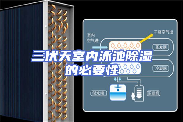 三伏天室内泳池除湿的必要性