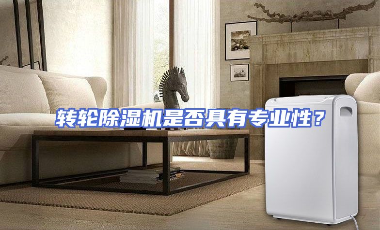 转轮除湿机是否具有专业性？