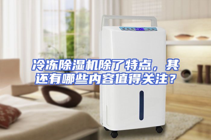 冷冻除湿机除了特点,其还有哪些内容值得关注?