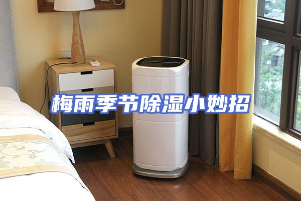 梅雨季节除湿小妙招