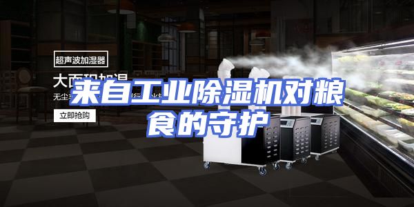来自工业除湿机对粮食的守护