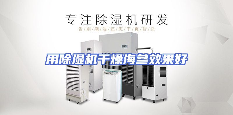 用除湿机干燥海参效果好