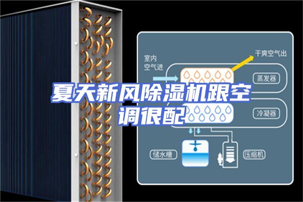 夏天新风除湿机跟空调很配