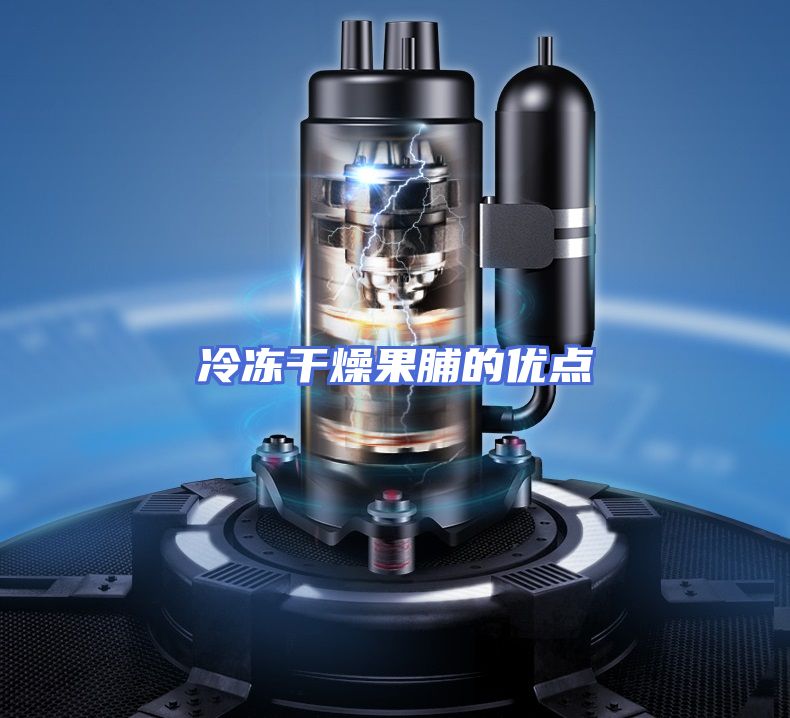 冷冻干燥果脯的优点