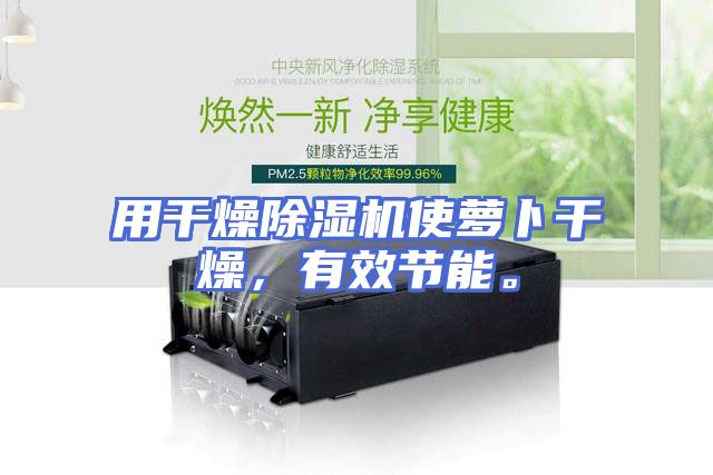 用干燥除湿机使萝卜干燥，有效节能。