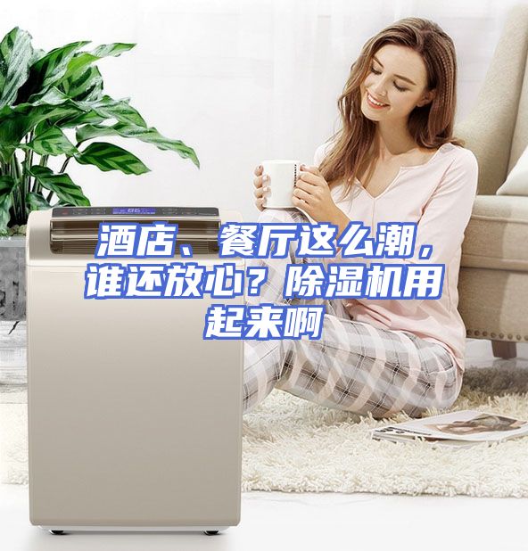 酒店、餐厅这么潮，谁还放心？除湿机用起来啊