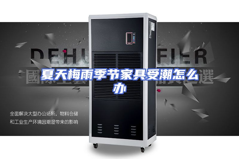 夏天梅雨季节家具受潮怎么办