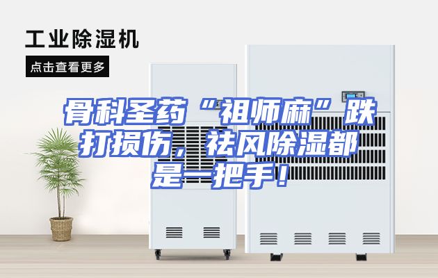 骨科圣药“祖师麻”跌打损伤，祛风除湿都是一把手！