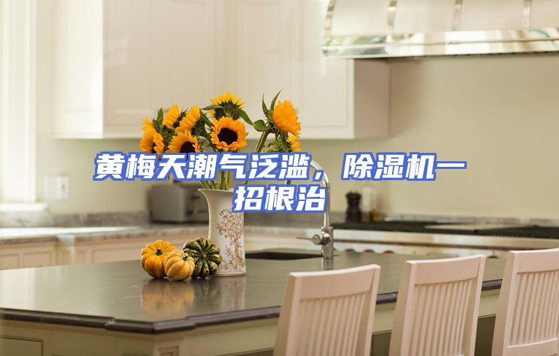 黄梅天潮气泛滥，除湿机一招根治