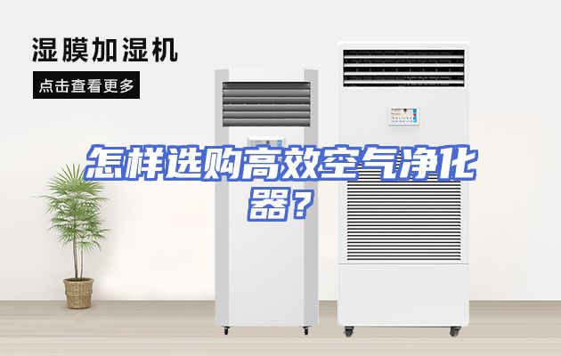 怎样选购高效空气净化器？